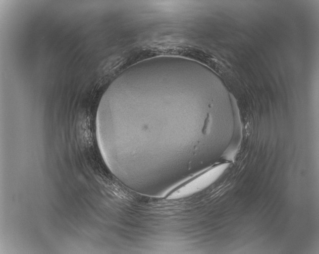 X0000057041156200510071358