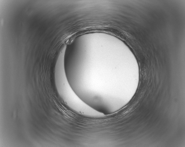 X0000057041161200510071358