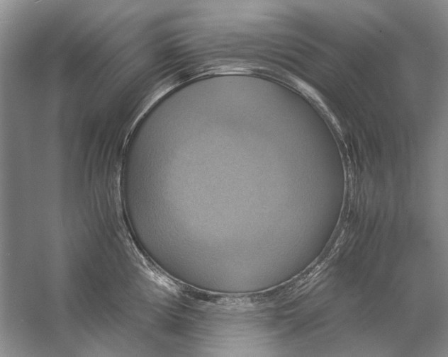 X0000057041194200510071357