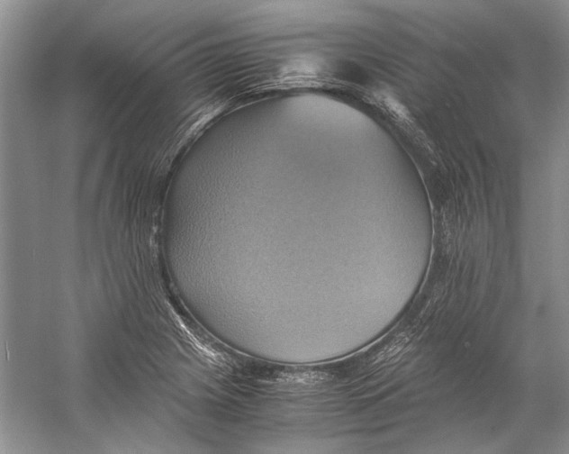 X0000057041225200510071356