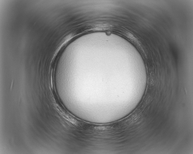 X0000057041227200510071357