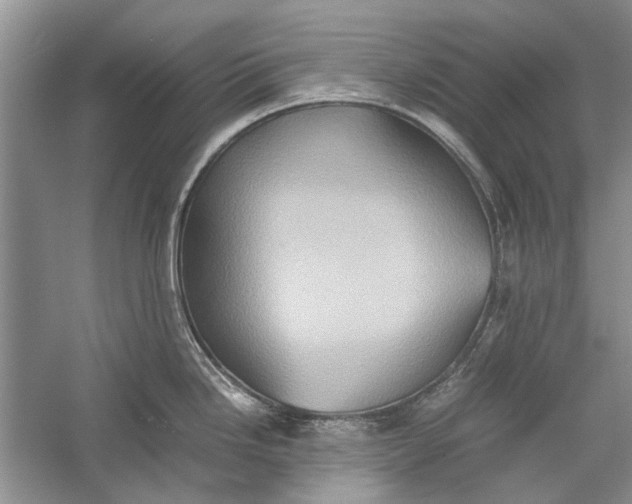 X0000057041246200510071357