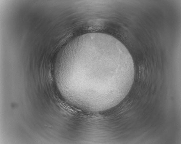 X0000057041250200510071356