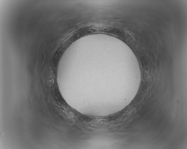 X0000057041253200510071356