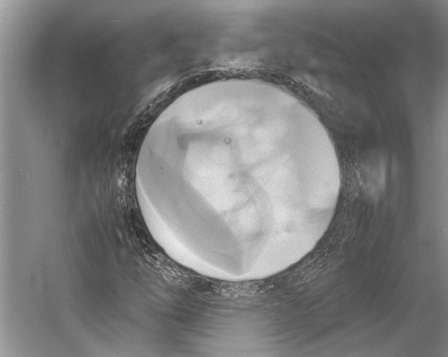 X0000057041254200510071356