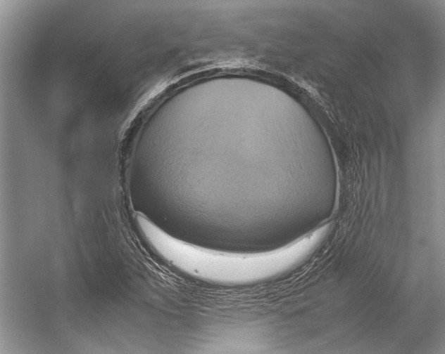X0000057041263200510071356