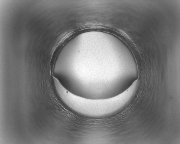 X0000057041269200510071356