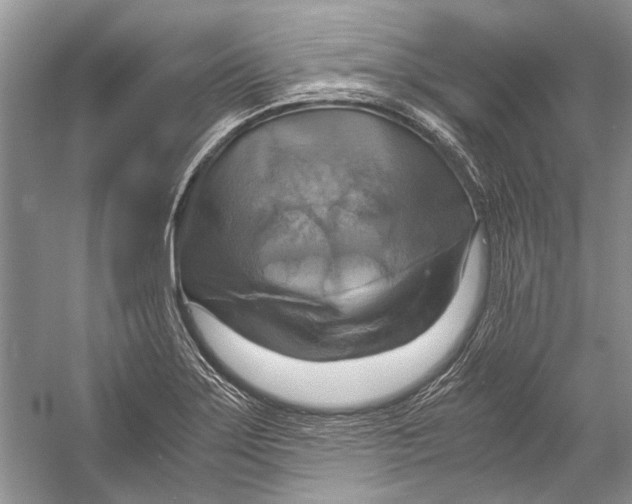 X0000057041275200510071356