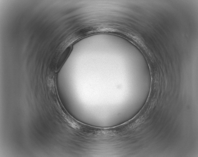 X0000057041281200510071356