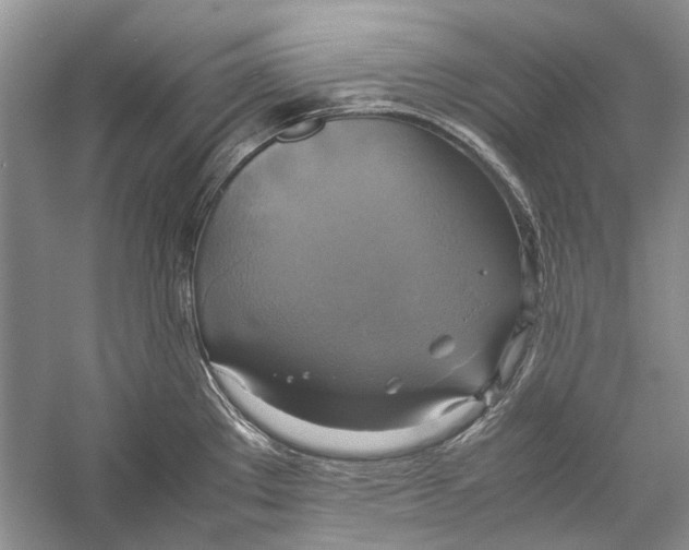 X0000057041289200510071355