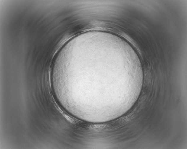 X0000057041290200510071355