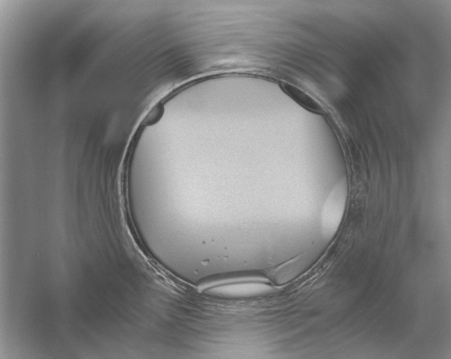 X0000057041291200510071355