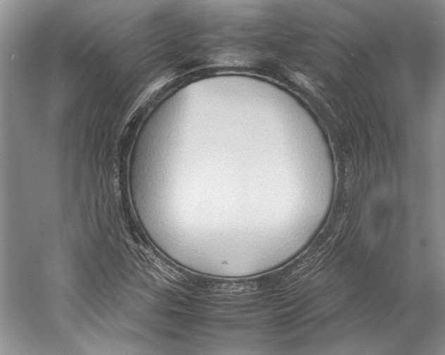 X0000057041307200510071355