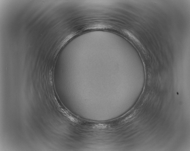 X0000057041329200510071355