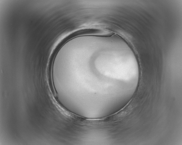 X0000057041344200510071355