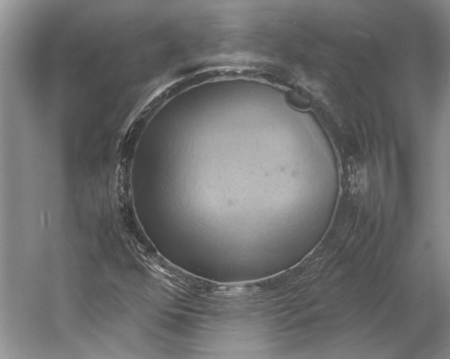 X0000057041352200510071354