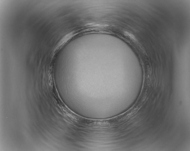 X0000057041354200510071354