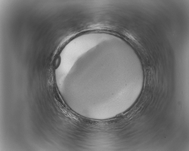 X0000057041358200510071354