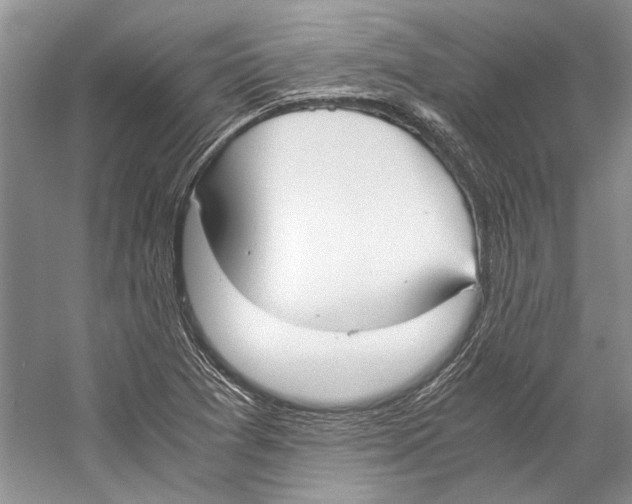 X0000057041361200510071354