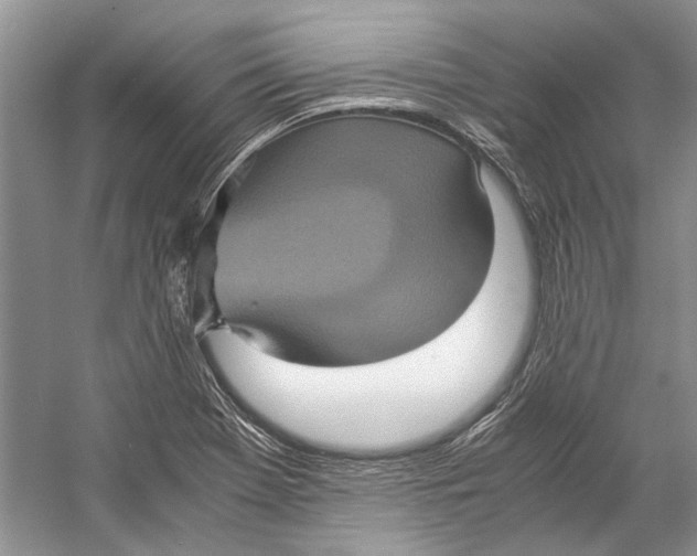 X0000057041369200510071354
