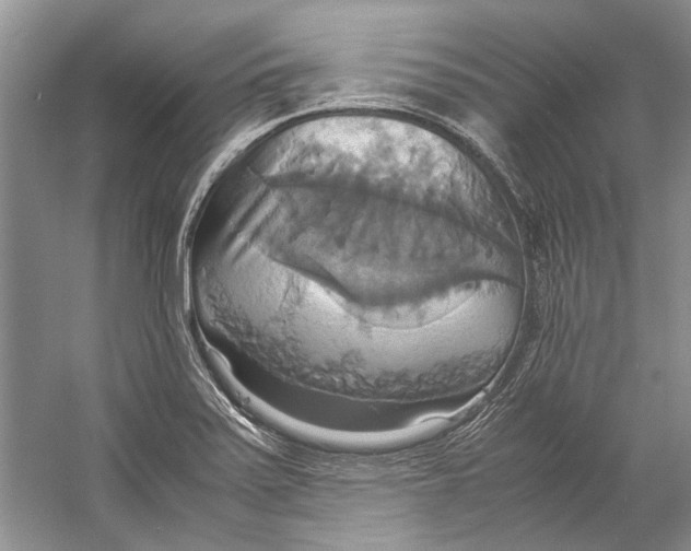 X0000057041371200510071354