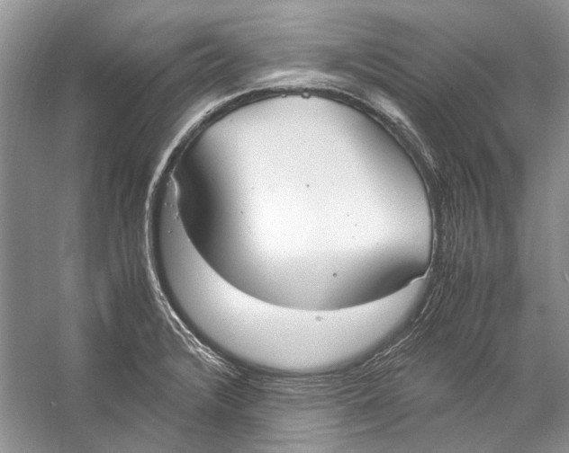 X0000057041376200510071354