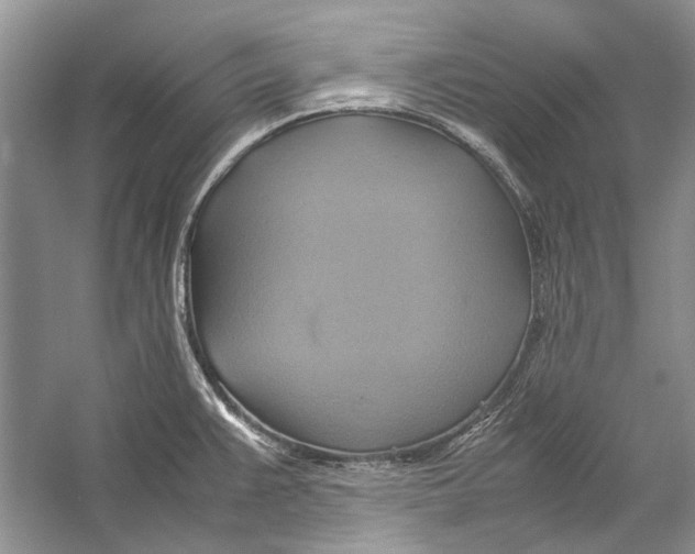 X0000057041383200510071354
