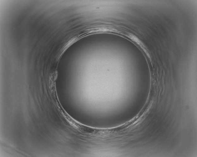X0000057041385200510071354