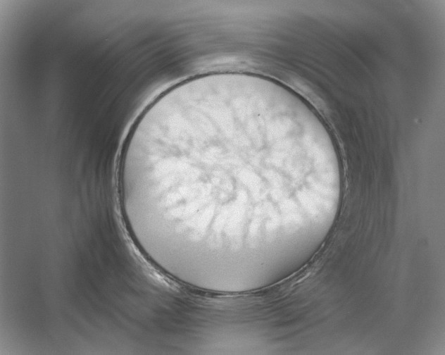 X0000057041392200510071354