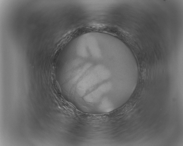 X0000057041397200510071353