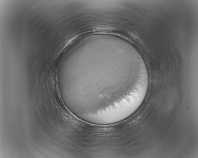 X0000057041401200510071353