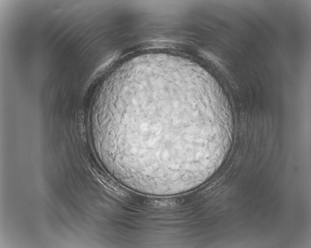 X0000057041403200510071353