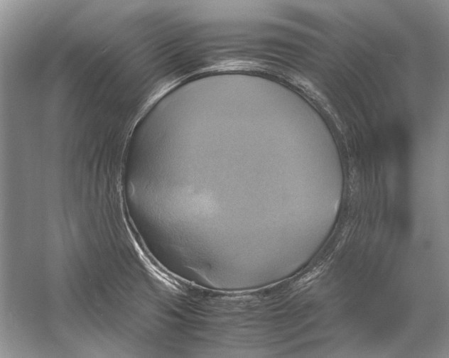 X0000057041425200510071353