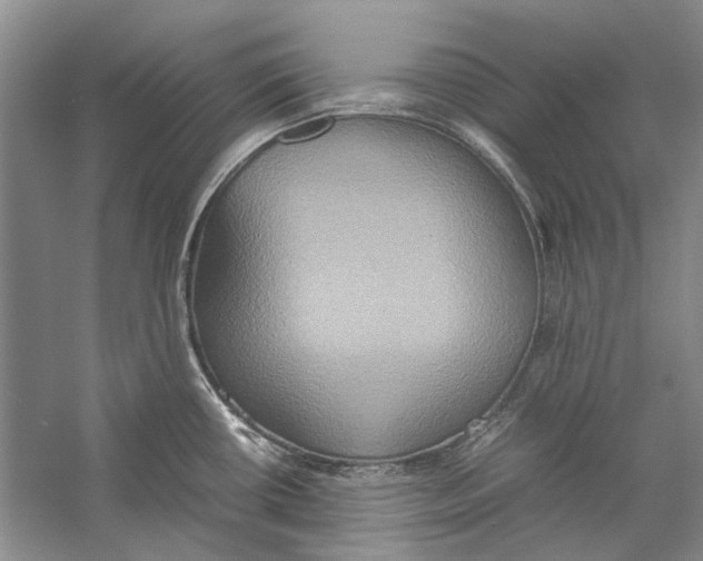 X0000057041434200510071354