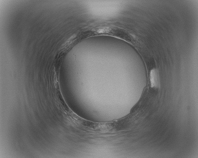 X0000057041443200510071353