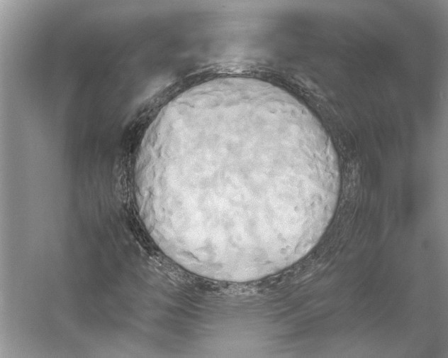 X0000057041446200510071353