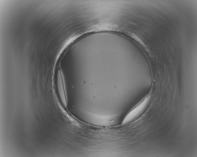 X0000057041469200510071352