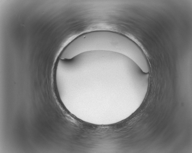 X0000057041477200510071352