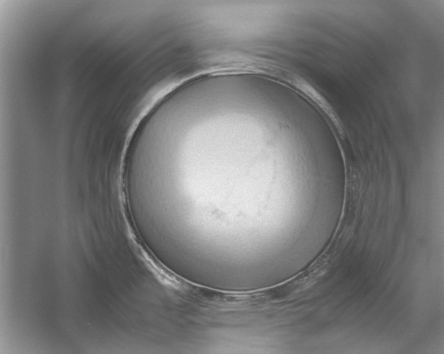 X0000057041485200510071352