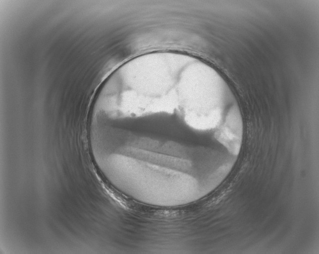 X0000057041521200510071352