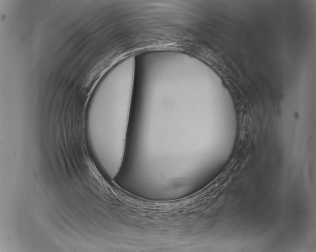 X0000057060002200509090829