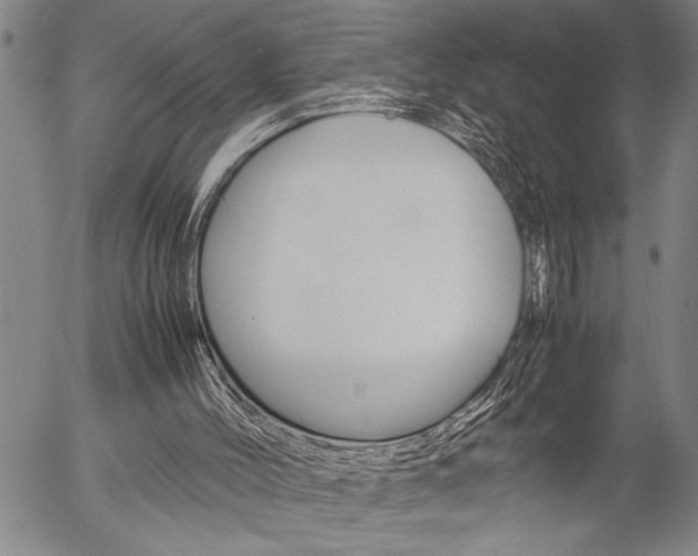 X0000057060004200509090829