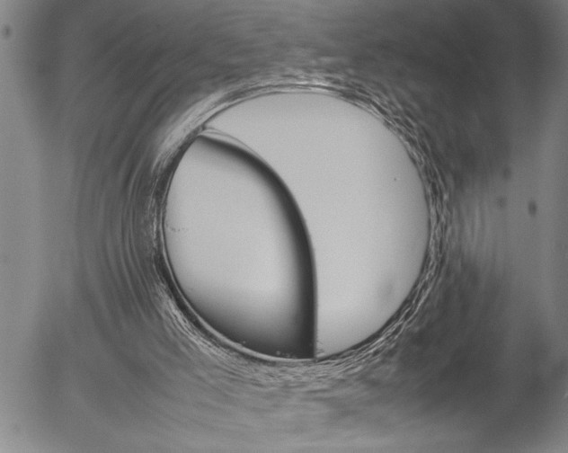 X0000057060005200509090829