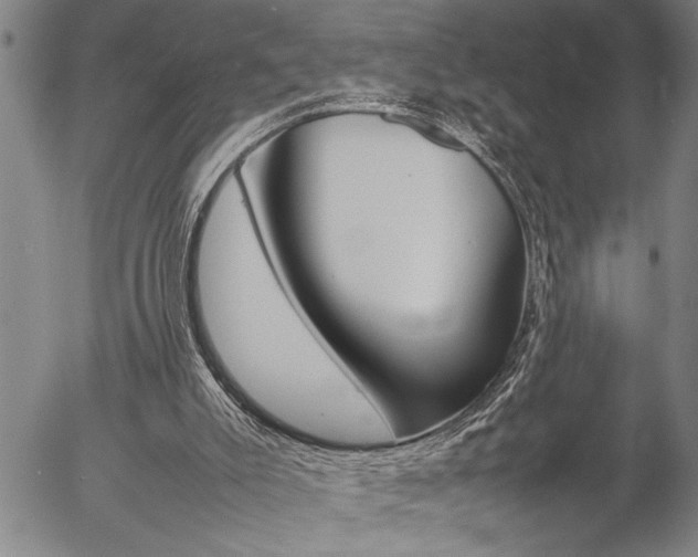 X0000057060007200509090829