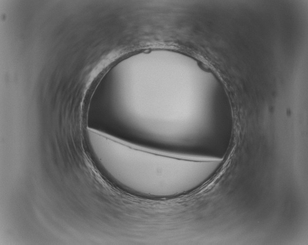 X0000057060008200509090829