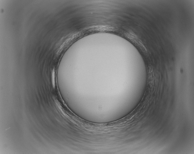 X0000057060014200509090829