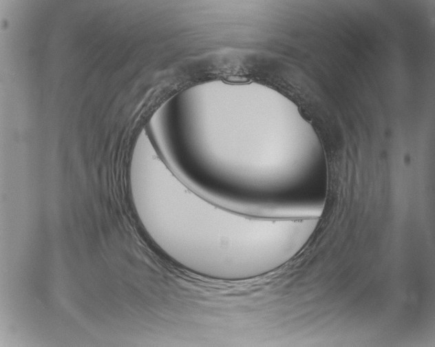 X0000057060035200509090828