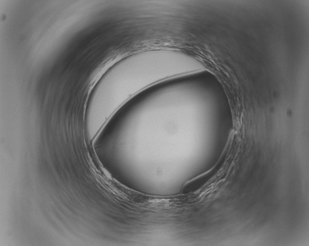 X0000057060052200509090827