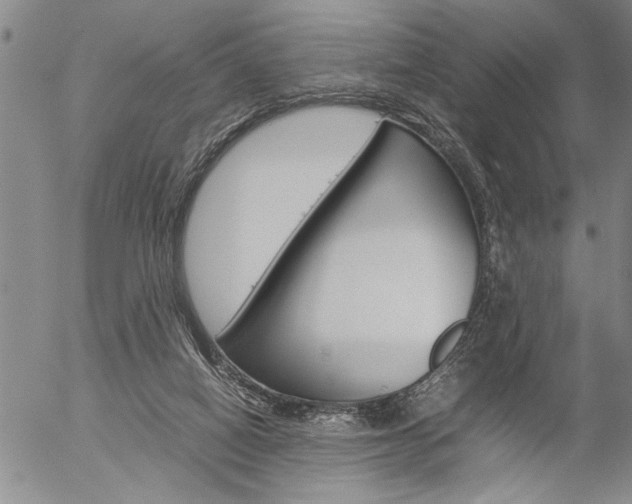 X0000057060066200509090827