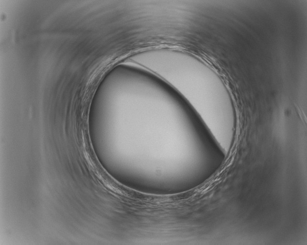 X0000057060097200509090827